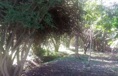 Imagem 8: Sítio em Santa Cruz. 89.000m² de Área