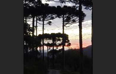 Imagem 3: Sítio em Urubici/Área rural em Urubici/ chácara em Urubici