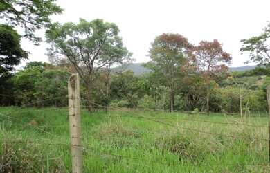 Imagem 1: Juatuba - Jardim da Boa Vista