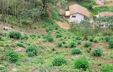 Imagem: A chácara possui 1.956m² de Área e está localizado em Paraty