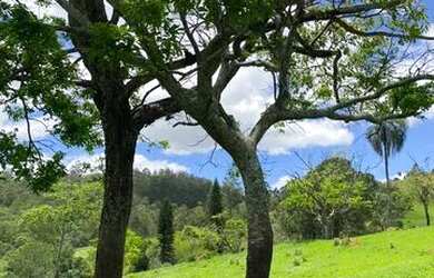 Imagem 1: terreno de 500m2. 500m² de Área