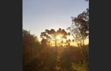 Imagem 1: Sítio em Urubici/Área rural em Urubici/ chácara em Urubici