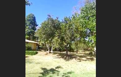 Imagem: A fazenda está localizado em Centro, Paracatu à venda por