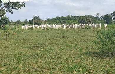 Imagem: A fazenda possui 30.008.000m² de Área e está localizado