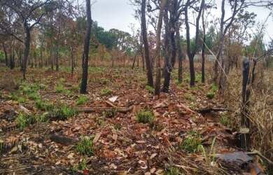 Imagem 7: Terreno no bairro Loteamento Jardim Novo Niterói I em Várzea Grande