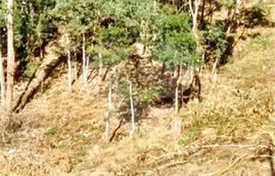 Imagem 2: Terreno / Lote à Venda no Condomínio Capital Ville I em Jundiaí/SP