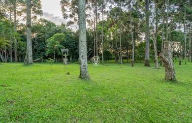 Imagem 9: Terreno na BR277. 85.023m² de Área