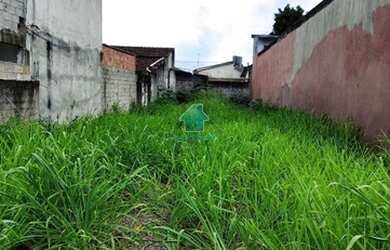 Imagem 2: Terreno no centro de Caraguatatuba ao lado da Prefeitura