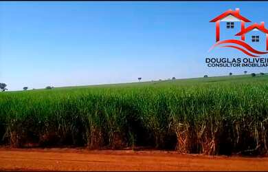 Imagem 3: Fazenda 142 Alqueirão Região de Carneirinho/MG