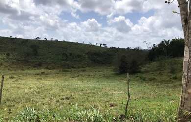 Imagem 10: Vendo fazenda com 280 ta em Santa Luzia do Itanhy
