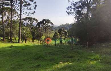 Imagem 7: Chácara à venda, 7 alqueires por R$ 1.200.000 - Zona Rural - Guarapuava/PR