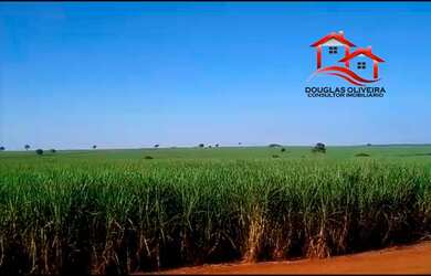 Imagem 2: Fazenda 142 Alqueirão Região de Carneirinho/MG