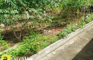 Imagem 15: Linda casa no bairro Garcia