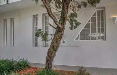 Imagem 9: Ribeirão Preto - Casa Padrão - Alto da Boa Vista