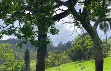 Imagem 4: terreno de 500m2. 500m² de Área