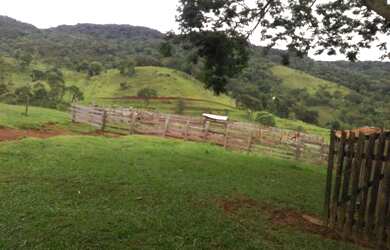 Imagem 12: Oportunidade em pinhão