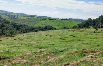 Imagem 10: VENDO CHACARA NA PLANTA. 100m² de Área