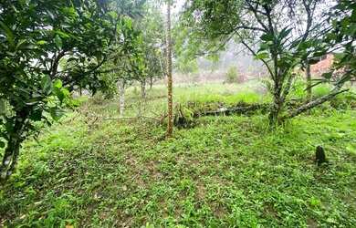 Imagem 3: 67 mil reais de entrada 2 mil por mês vista panorâmica