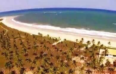 Imagem 7: Fazenda à venda, 4400000 m² por R$ 100.000.000 - Centro - Coruripe/AL