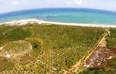 Imagem 1: Fazenda à venda, 4400000 m² por R$ 100.000.000 - Centro - Coruripe/AL