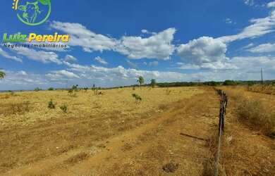 Imagem 1: FAZENDA À VENDA NO VALE DO ARAGUAIA - TO - 1.462 HECTARES (DUPLA APTIDÃO