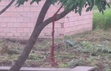 Imagem 6: Em belterra barrato. 