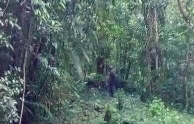 Imagem 3: Terreno à venda, 654 m² por R$ 200.000,00 - Massaguaçu - Caraguatatuba/SP