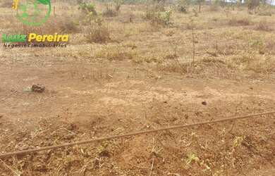Imagem 7: FAZENDA À VENDA NO VALE DO ARAGUAIA - TO - 1.462 HECTARES (DUPLA APTIDÃO