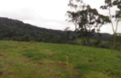 Imagem 2: Oportunidade em pinhão