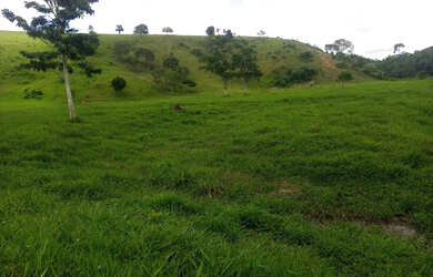 Imagem 4: Vendo fazenda laje