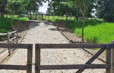 Imagem 4: Fazenda para Venda - FAZENDA, FLORESTAL - 110000m², 3 vagas
