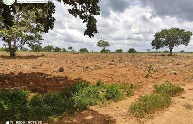 Imagem: A fazenda possui 3.750.000m² de Área e está localizado em