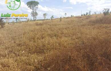 Imagem 16: FAZENDA À VENDA NO VALE DO ARAGUAIA - TO - 1.462 HECTARES (DUPLA APTIDÃO