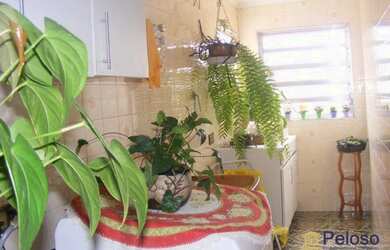 Imagem 6: Sobrado residencial à venda, Jardim Paraíso, São Paulo