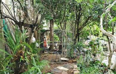 Imagem 11: terreno zonz sul. 1.050m² de Área