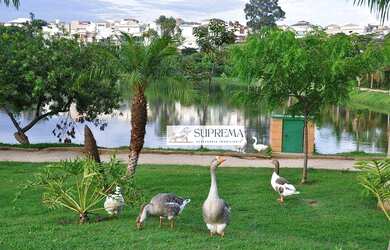 Imagem 15: Casa com 2 dormitórios à venda, 295 m² por R$ 1.200.000,00 - Condomínio Ibiti do Paço - So