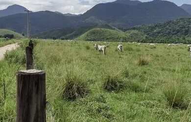 Imagem: A fazenda está localizado em Casimiro de Abreu, RJ à venda