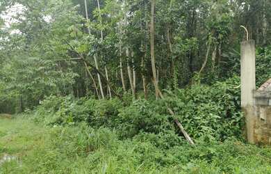 Imagem 16: Terreno à venda, 654 m² por R$ 200.000,00 - Massaguaçu - Caraguatatuba/SP