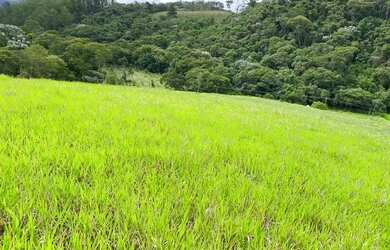 Imagem: O terreno possui 500m² de Área e está localizado em Atibaia