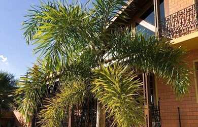 Imagem 2: Casa, 250 m² - venda por R$ 2.330.000,00 ou aluguel por R$ 10.000,00...