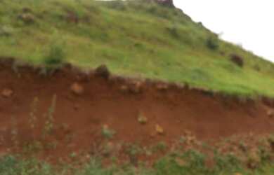 Imagem 4: Oportunidade em pinhão