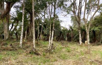 Imagem: Terreno de 2 hectare em Urubici