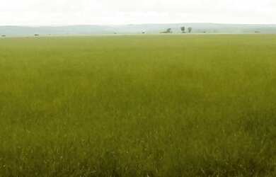 Imagem 2: Fazenda em Niquelândia 1