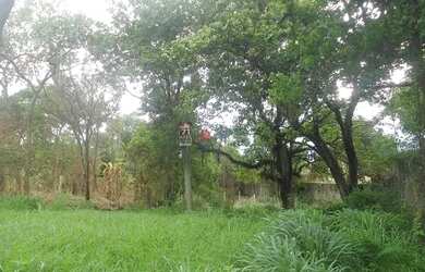 Imagem: O terreno possui 4.395m² de Área e está localizado em Tabaú