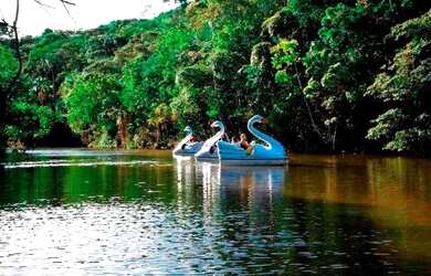Imagem: A fazenda possui 210.000m² de Área e está localizado em