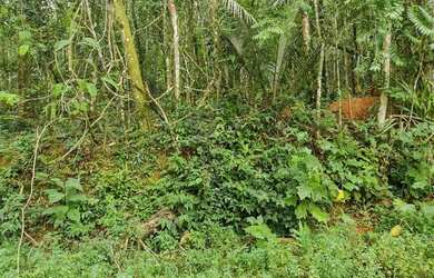 Imagem 9: Terreno à venda, 654 m² por R$ 200.000,00 - Massaguaçu - Caraguatatuba/SP