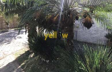 Imagem 3: Condomínio Country Club. Área de serviço, 330m² de Área, 4 Vagas...