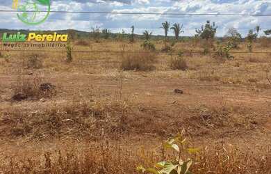 Imagem 15: FAZENDA À VENDA NO VALE DO ARAGUAIA - TO - 1.462 HECTARES (DUPLA APTIDÃO