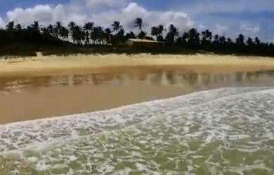 Imagem 2: Fazenda à venda, 4400000 m² por R$ 100.000.000 - Centro - Coruripe/AL