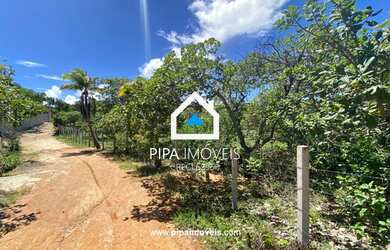 Imagem 3: Terreno à venda, 10000m² na Praia da Pipa - Tibau do Sul/RN